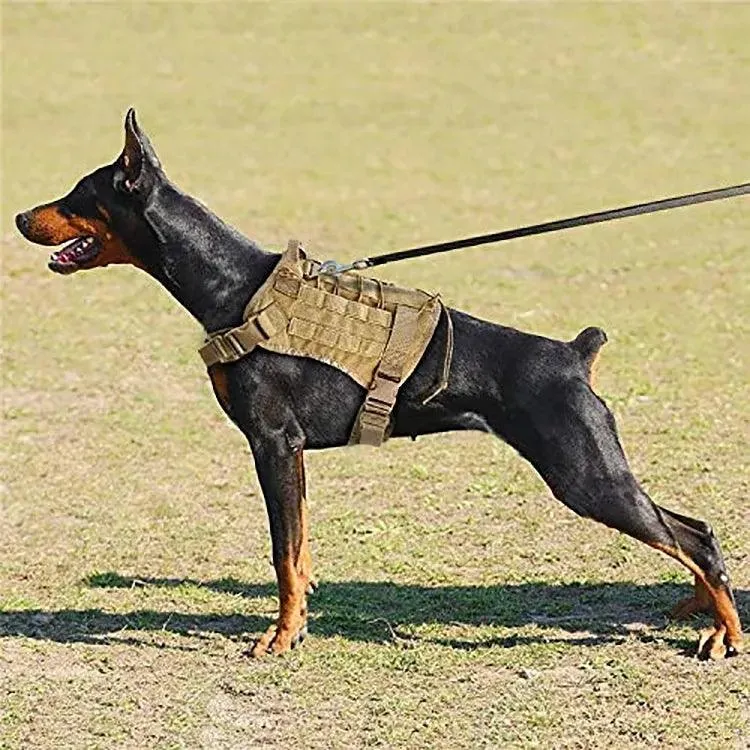 Tactical Dog Training Vest