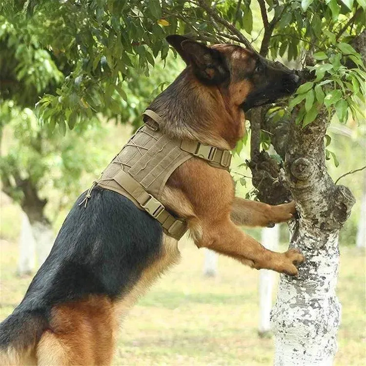 Tactical Dog Training Vest